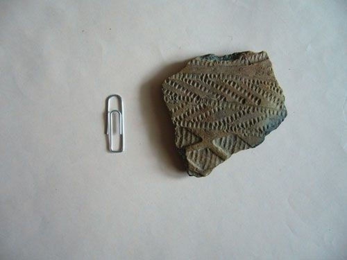 Иллюстрация к книге — Феномены древней культуры востока Северной Азии [i_094.jpg]