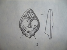 Иллюстрация к книге — Феномены древней культуры востока Северной Азии [i_117.jpg]