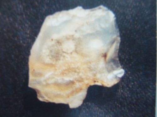 Иллюстрация к книге — Феномены древней культуры востока Северной Азии [i_148.jpg]