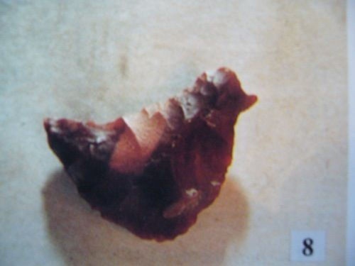 Иллюстрация к книге — Феномены древней культуры востока Северной Азии [i_149.jpg]