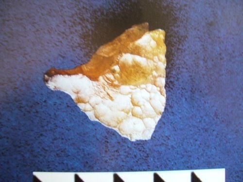 Иллюстрация к книге — Феномены древней культуры востока Северной Азии [i_152.jpg]