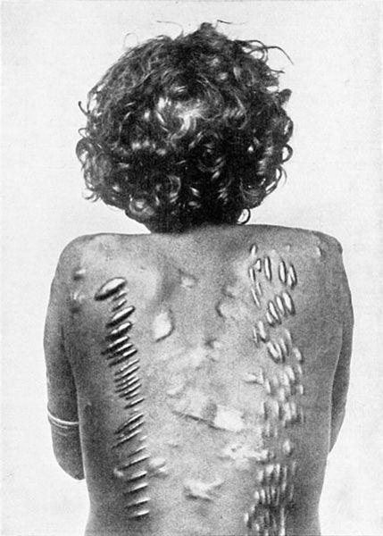 Иллюстрация к книге — Запросы плоти. Еда и секс в жизни людей [_005.jpg]