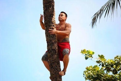 Иллюстрация к книге — Запросы плоти. Еда и секс в жизни людей [_00a.jpg]