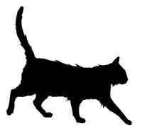 Иллюстрация к книге — Обещание ведьмы [block_001224156.jpg]