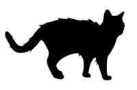 Иллюстрация к книге — Обещание ведьмы [block_001224166.jpg]