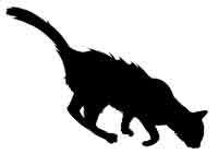 Иллюстрация к книге — Обещание ведьмы [block_001224182.jpg]