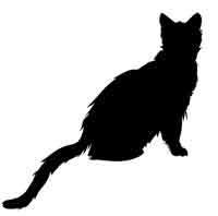 Иллюстрация к книге — Обещание ведьмы [block_001224214.jpg]