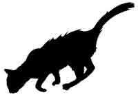 Иллюстрация к книге — Обещание ведьмы [block_00122443.jpg]