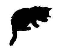 Иллюстрация к книге — Обещание ведьмы [block_00122480.jpg_0.jpg]