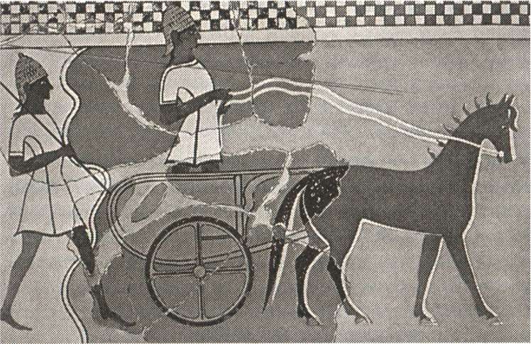 Иллюстрация к книге — Расовые мифы нацизма. Врага надо знать! [i_008.jpg]