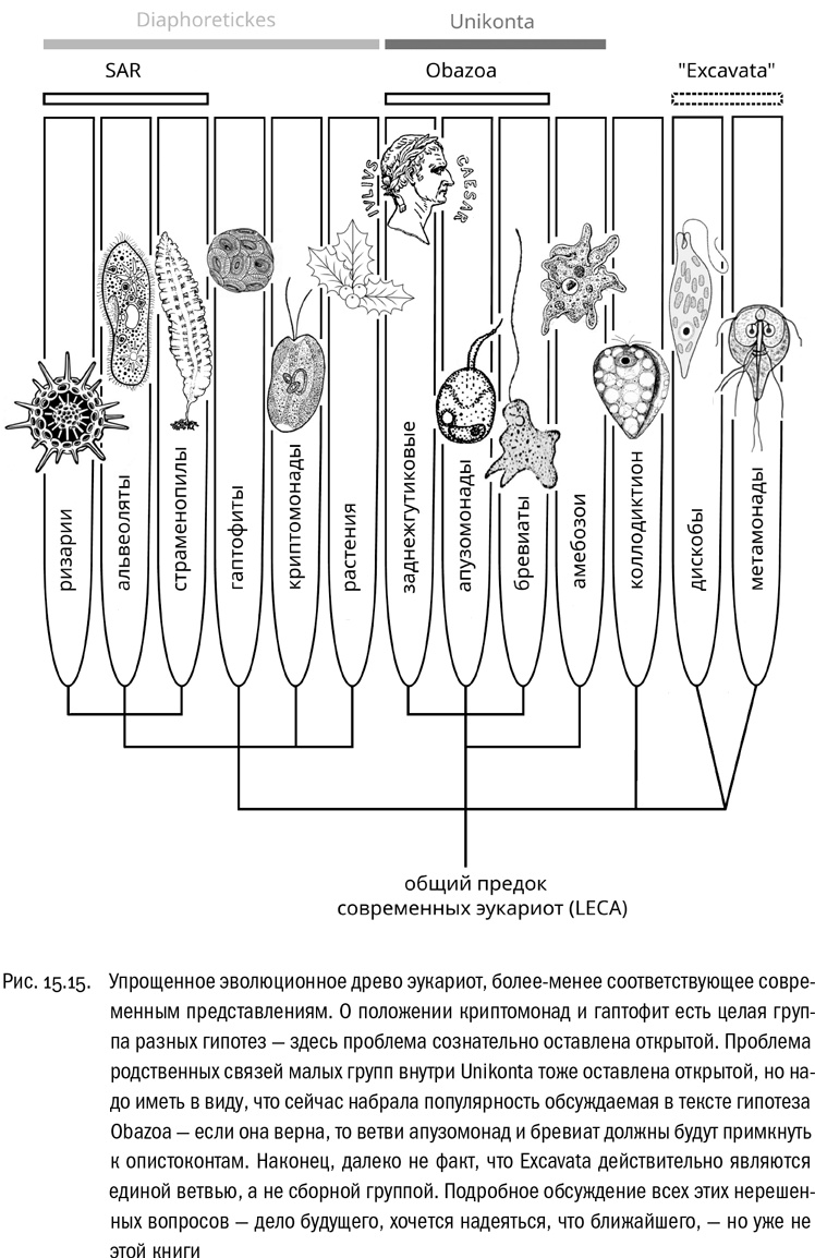 Иллюстрация к книге — От атомов к древу. Введение в современную науку о жизни [img_100.jpg]