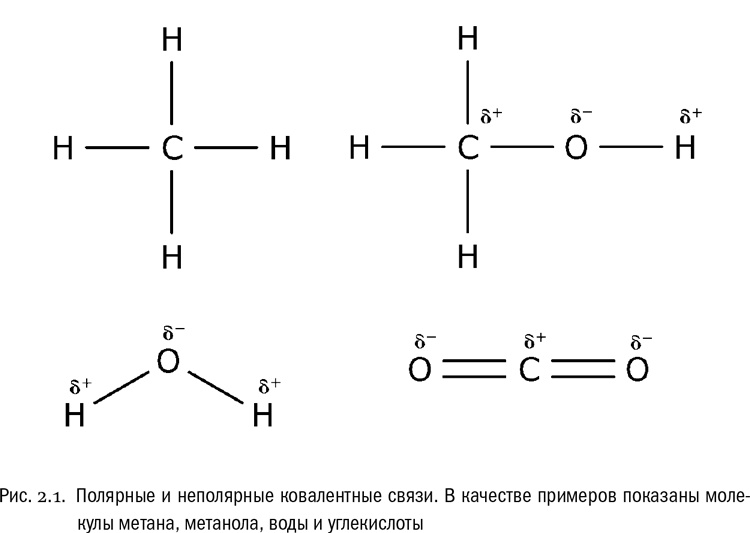 Иллюстрация к книге — От атомов к древу. Введение в современную науку о жизни [img_11.jpg]