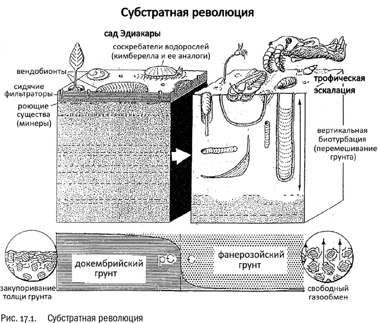 Иллюстрация к книге — От атомов к древу. Введение в современную науку о жизни [img_110.jpg]