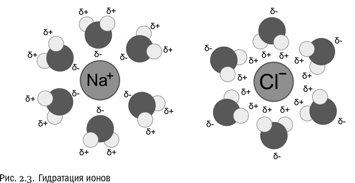 Иллюстрация к книге — От атомов к древу. Введение в современную науку о жизни [img_13.jpg]
