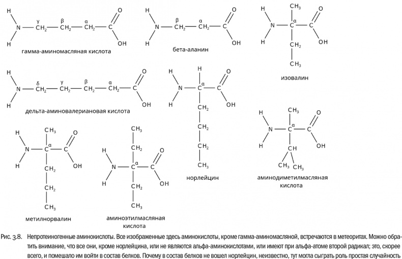 Иллюстрация к книге — От атомов к древу. Введение в современную науку о жизни [img_21.jpg]