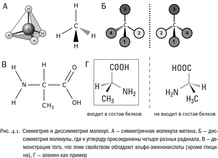 Иллюстрация к книге — От атомов к древу. Введение в современную науку о жизни [img_23.jpg]
