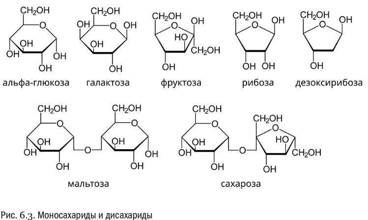 Иллюстрация к книге — От атомов к древу. Введение в современную науку о жизни [img_32.jpg]