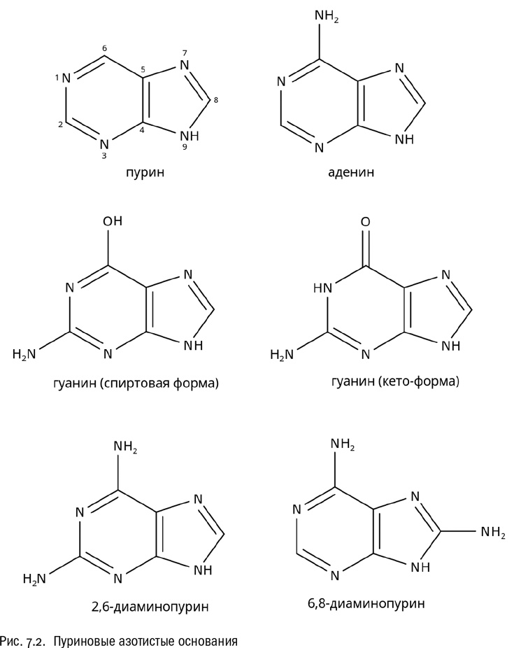 Иллюстрация к книге — От атомов к древу. Введение в современную науку о жизни [img_37.jpg]