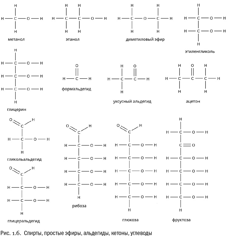 Иллюстрация к книге — От атомов к древу. Введение в современную науку о жизни [img_7.jpg]