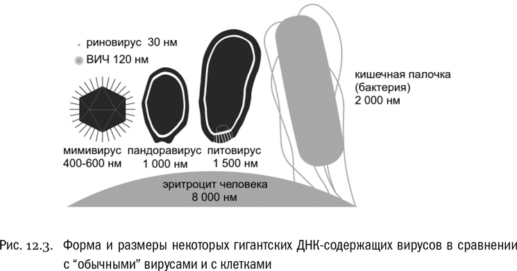 Иллюстрация к книге — От атомов к древу. Введение в современную науку о жизни [img_76.jpg]