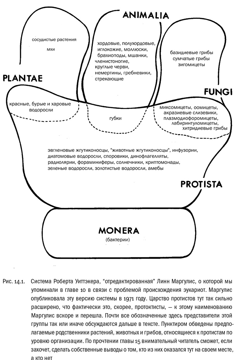 Иллюстрация к книге — От атомов к древу. Введение в современную науку о жизни [img_79.jpg]
