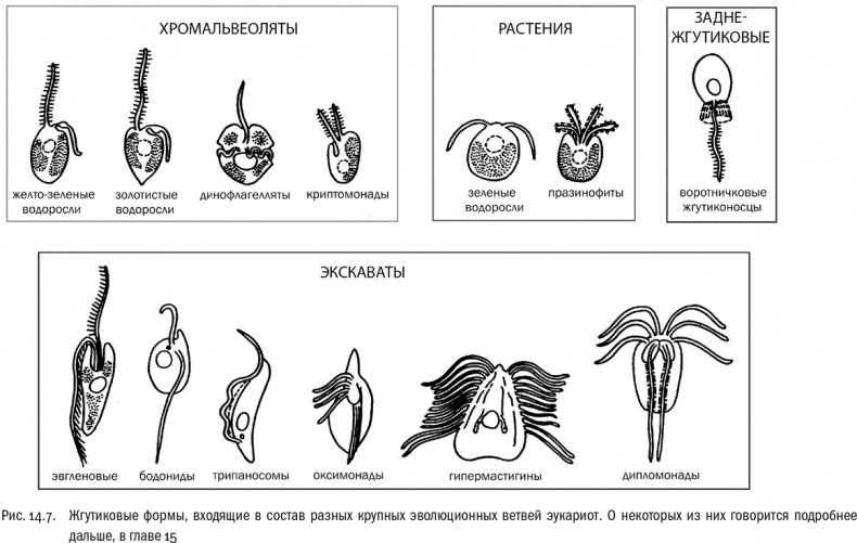 Иллюстрация к книге — От атомов к древу. Введение в современную науку о жизни [img_85.jpg]