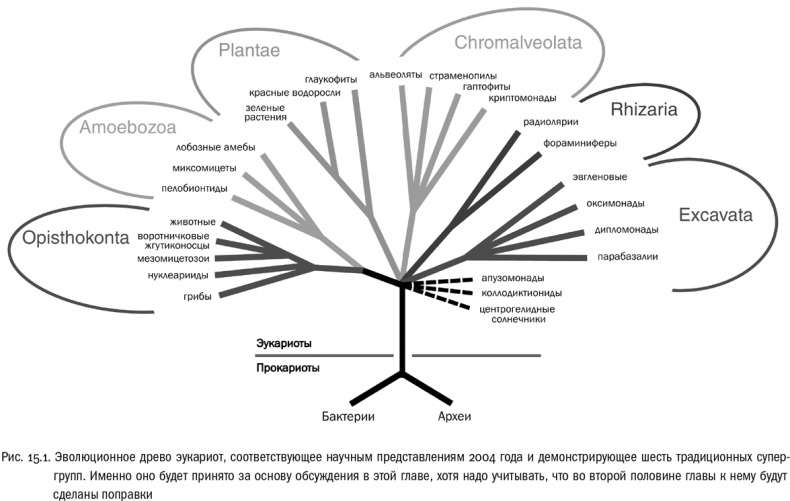 Иллюстрация к книге — От атомов к древу. Введение в современную науку о жизни [img_86.jpg]