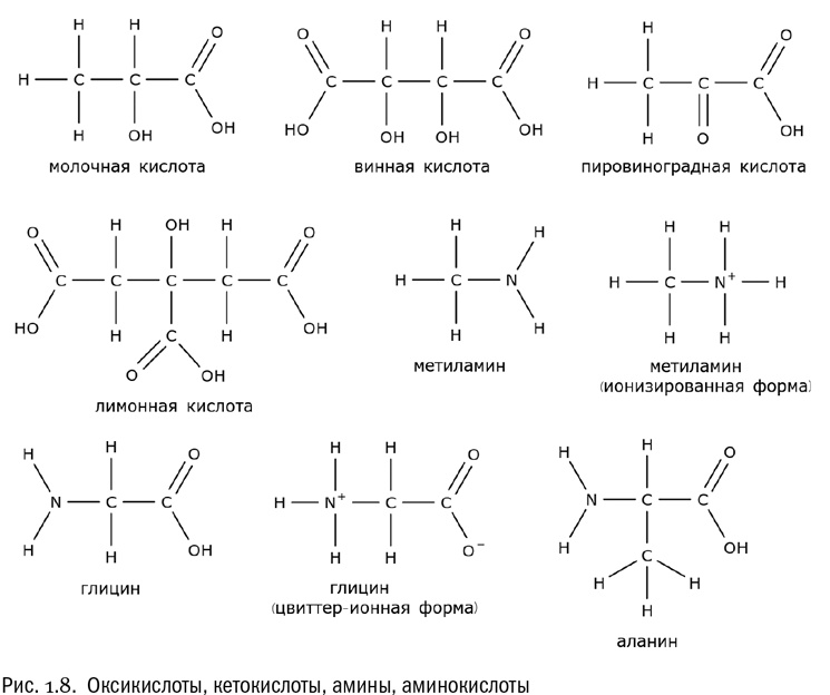 Иллюстрация к книге — От атомов к древу. Введение в современную науку о жизни [img_9.jpg]