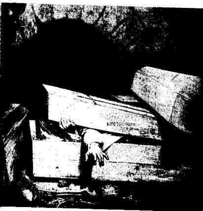 Иллюстрация к книге — История вампиров [i_003.jpg]