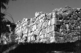 Иллюстрация к книге — Настоящая Спарта. Без домыслов и наветов [i_010.jpg]