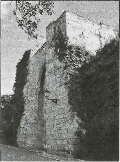 Иллюстрация к книге — Средневековая Испания [i_026.jpg]