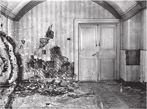 Иллюстрация к книге — Последняя тайна Романовых [b00000540.jpg]