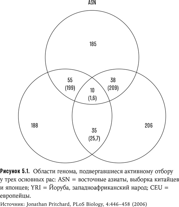 Иллюстрация к книге — Неудобное наследство. Гены, расы и история человечества [img_2.jpg]