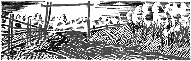 Иллюстрация к книге — Жизнь &quot;Ивана&quot; [i_003.jpg]