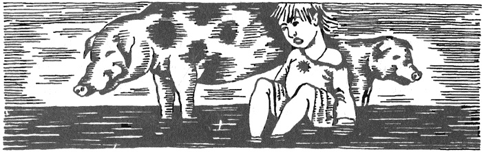 Иллюстрация к книге — Жизнь &quot;Ивана&quot; [i_017.jpg]