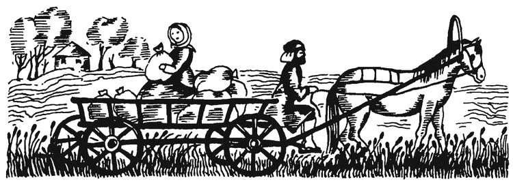 Иллюстрация к книге — Жизнь &quot;Ивана&quot; [i_041.jpg]