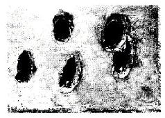 Иллюстрация к книге — Броневой щит Сталина. История советского танка 1937-1943 [pic_109.jpg]