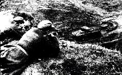 Иллюстрация к книге — Броневой щит Сталина. История советского танка 1937-1943 [pic_6.jpg]