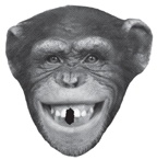 Иллюстрация к книге — Заставь его замолчать. Как победить внутреннего критика и начать действовать [i_019.jpg]