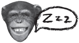 Иллюстрация к книге — Заставь его замолчать. Как победить внутреннего критика и начать действовать [i_026.jpg]