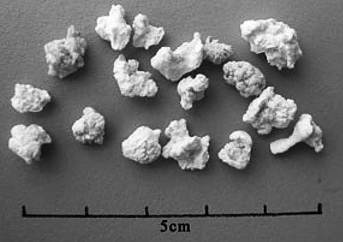 Иллюстрация к книге — По следам Ковчега Завета [any2fbimgloader16.jpg]