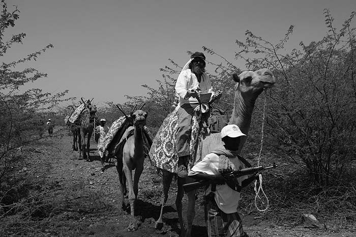 Иллюстрация к книге — По следам Ковчега Завета [any2fbimgloader73.jpg]