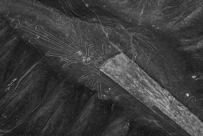 Иллюстрация к книге — Наска. Гигантские рисунки на полях [any2fbimgloader17.jpg]