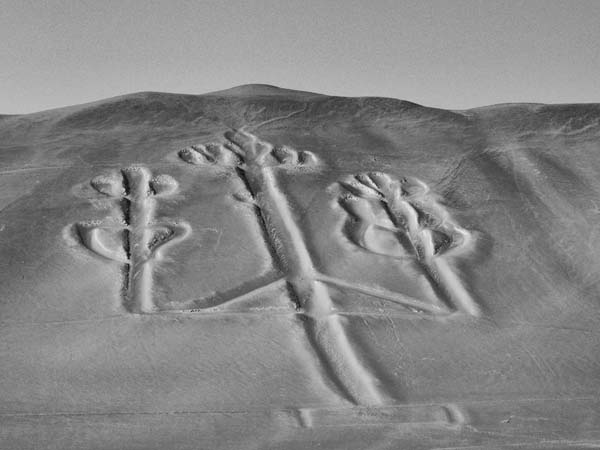 Иллюстрация к книге — Наска. Гигантские рисунки на полях [any2fbimgloader32.jpg]