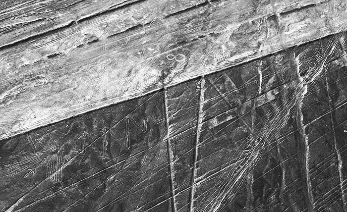 Иллюстрация к книге — Наска. Гигантские рисунки на полях [any2fbimgloader4.jpg]