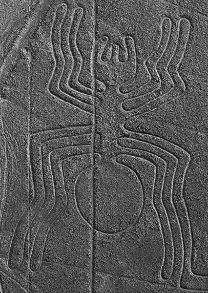 Иллюстрация к книге — Наска. Гигантские рисунки на полях [any2fbimgloader40.jpg]