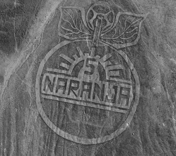 Иллюстрация к книге — Наска. Гигантские рисунки на полях [any2fbimgloader42.jpg]