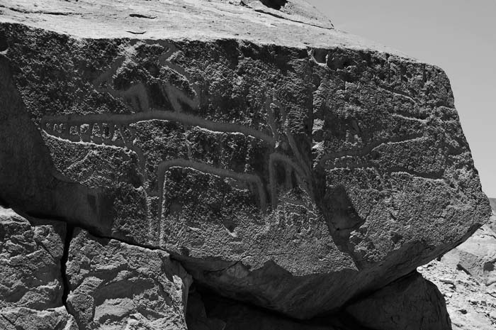 Иллюстрация к книге — Наска. Гигантские рисунки на полях [any2fbimgloader5.jpg]