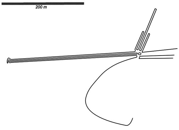 Иллюстрация к книге — Наска. Гигантские рисунки на полях [any2fbimgloader81.jpg]