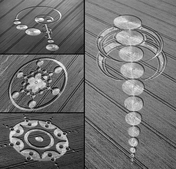 Иллюстрация к книге — Наска. Гигантские рисунки на полях [any2fbimgloader96.jpg]